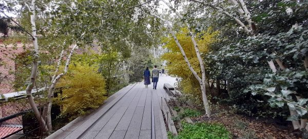 La tua New York versione estesa - immagine 3