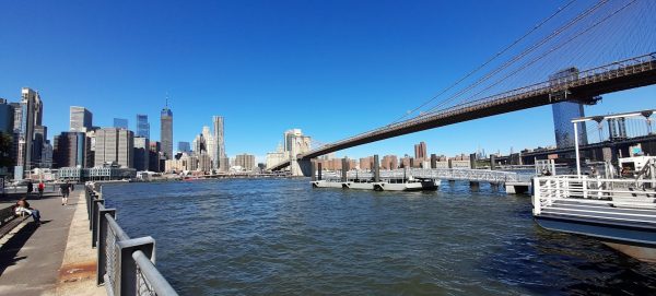 La tua New York versione estesa - immagine 5