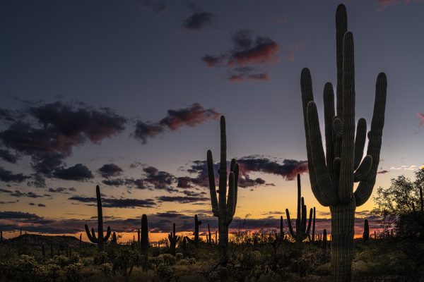 Arizona e New Mexico tra cielo e terra - immagine 3