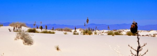Arizona e New Mexico tra cielo e terra - immagine 5