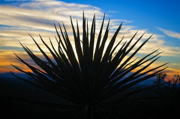 Arizona e New Mexico tra cielo e terra - immagine 4