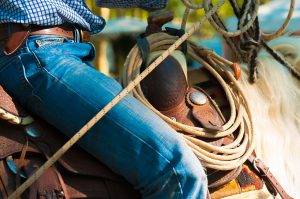 horse, saddle, rider-1955278.jpg