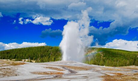 geyser, aspen, mountains, yellowstone, national, park, clouds, rocky, outdoors, wilderness, nature, fall, leaves, old, faithful, blue leaf, blue park, blue leaves, blue old, geyser, geyser, geyser, geyser, geyser, yellowstone