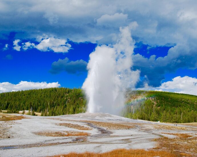 geyser, aspen, mountains, yellowstone, national, park, clouds, rocky, outdoors, wilderness, nature, fall, leaves, old, faithful, blue leaf, blue park, blue leaves, blue old, geyser, geyser, geyser, geyser, geyser, yellowstone