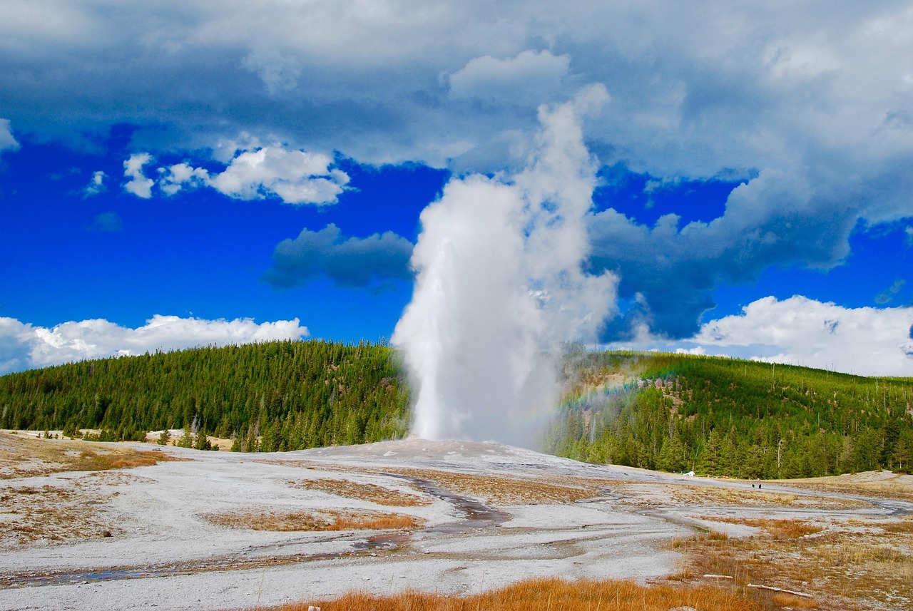 geyser, aspen, mountains, yellowstone, national, park, clouds, rocky, outdoors, wilderness, nature, fall, leaves, old, faithful, blue leaf, blue park, blue leaves, blue old, geyser, geyser, geyser, geyser, geyser, yellowstone