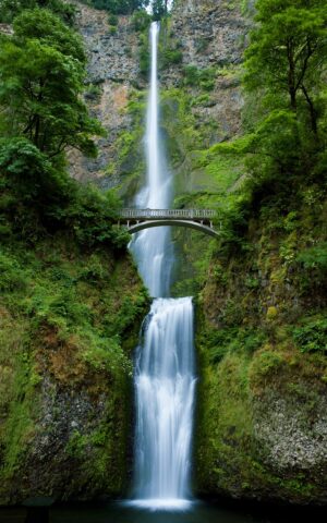waterfall, oregon, nature, waterfall, waterfall, waterfall, waterfall, waterfall, oregon