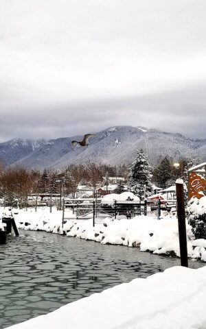 vancouver, north vancouver, nature, snow, clouds, white, first nations, sea, ice