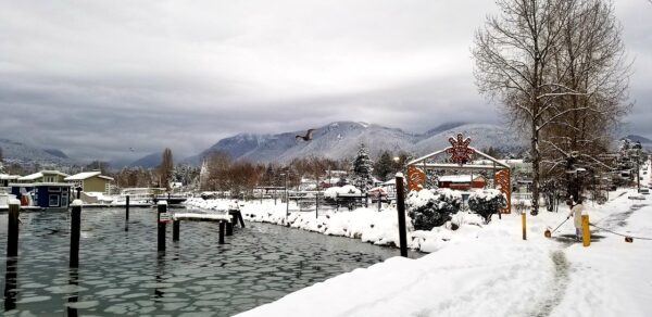 vancouver, north vancouver, nature, snow, clouds, white, first nations, sea, ice