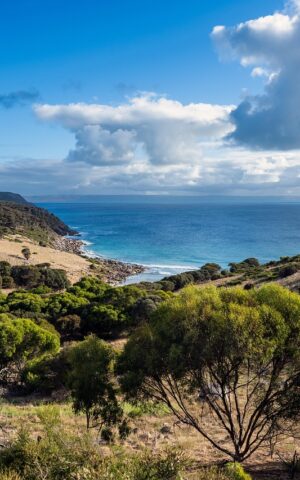 bay, coast, kangaroo island, cape willoughby, ocean, sky, water, coastline, trees, nature, landscape, australia, australia, australia, australia, australia, australia
