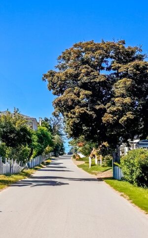 maine, new england, nature, landscape, trees, autumn, scenic, street