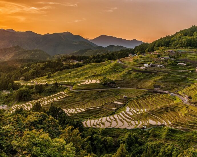 rice terraces, sunset, mountains, rice paddies, farm, farming, rice farm, plantation, agriculture, landscape, nature, maruyama senmaida, japan, panorama, panoramic, farm, farm, farming, agriculture, agriculture, japan, japan, japan, japan, japan