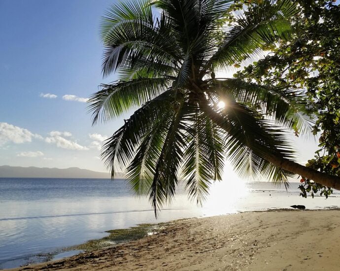 fiji, nature, of the fiji islands, beach, sun, clouds, palm tree, pacific, south seas, travel, island, paradise, fiji, fiji, fiji, fiji, fiji