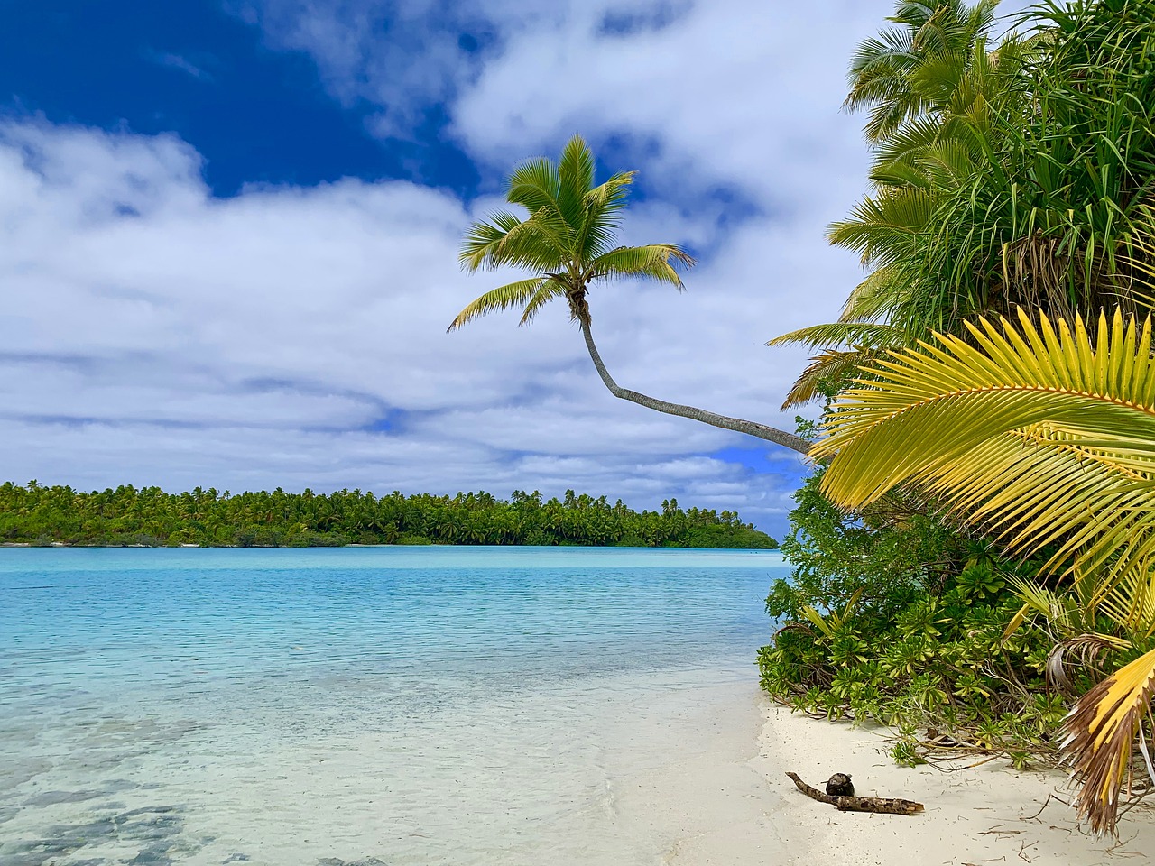 sand, sea, beach, ocean, travel, summer, water, nature, sky, vacation, coast, tropical, relax, holiday, island, blue, relaxation, journey, aitutaki, cook islands, tourism, blue cooking, aitutaki, aitutaki, aitutaki, cook islands, cook islands, cook islands, cook islands, cook islands